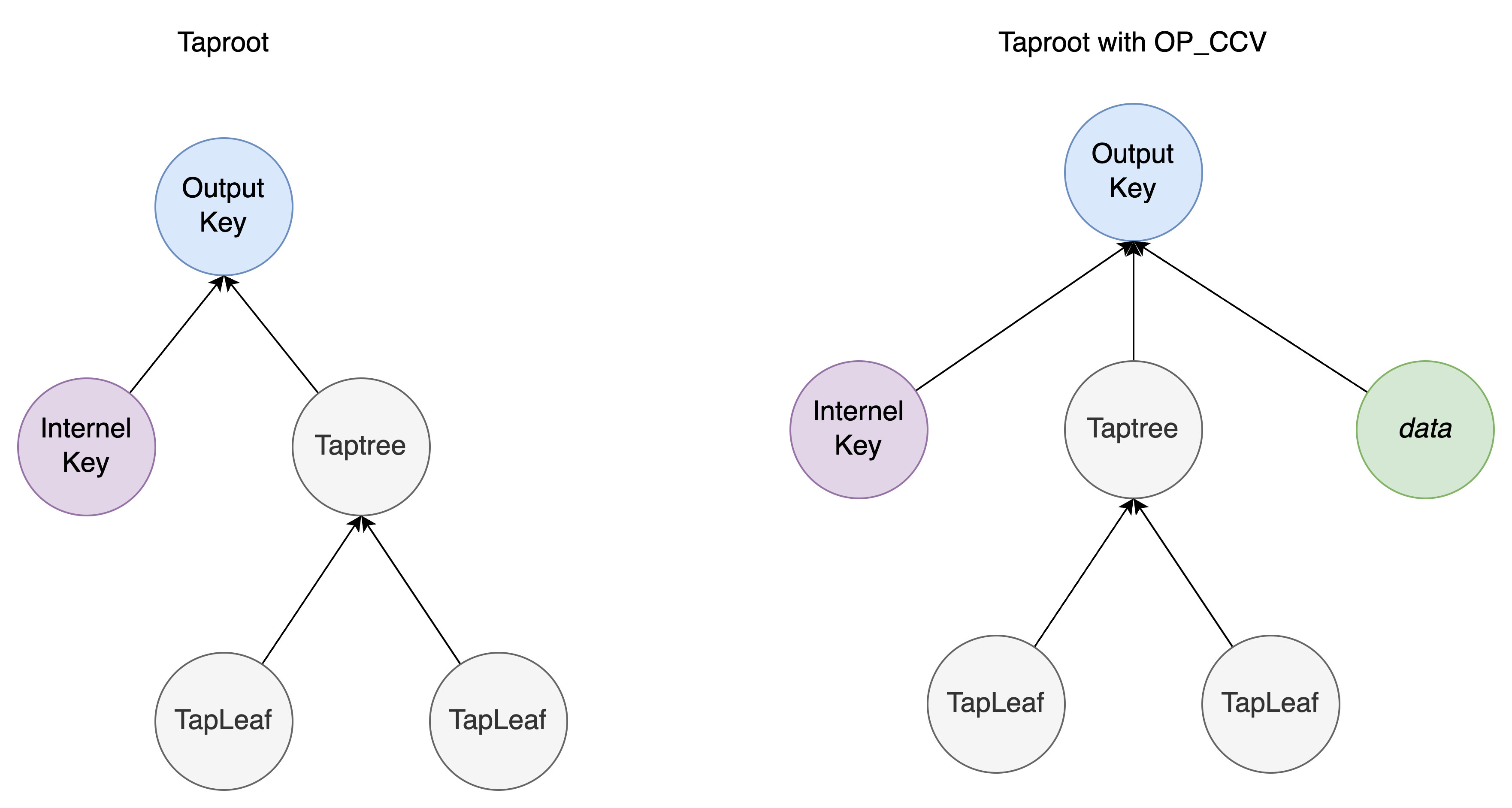 taproot_with_opccv