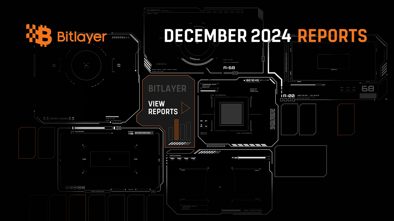 Bitlayer Monthly Report - December 2024