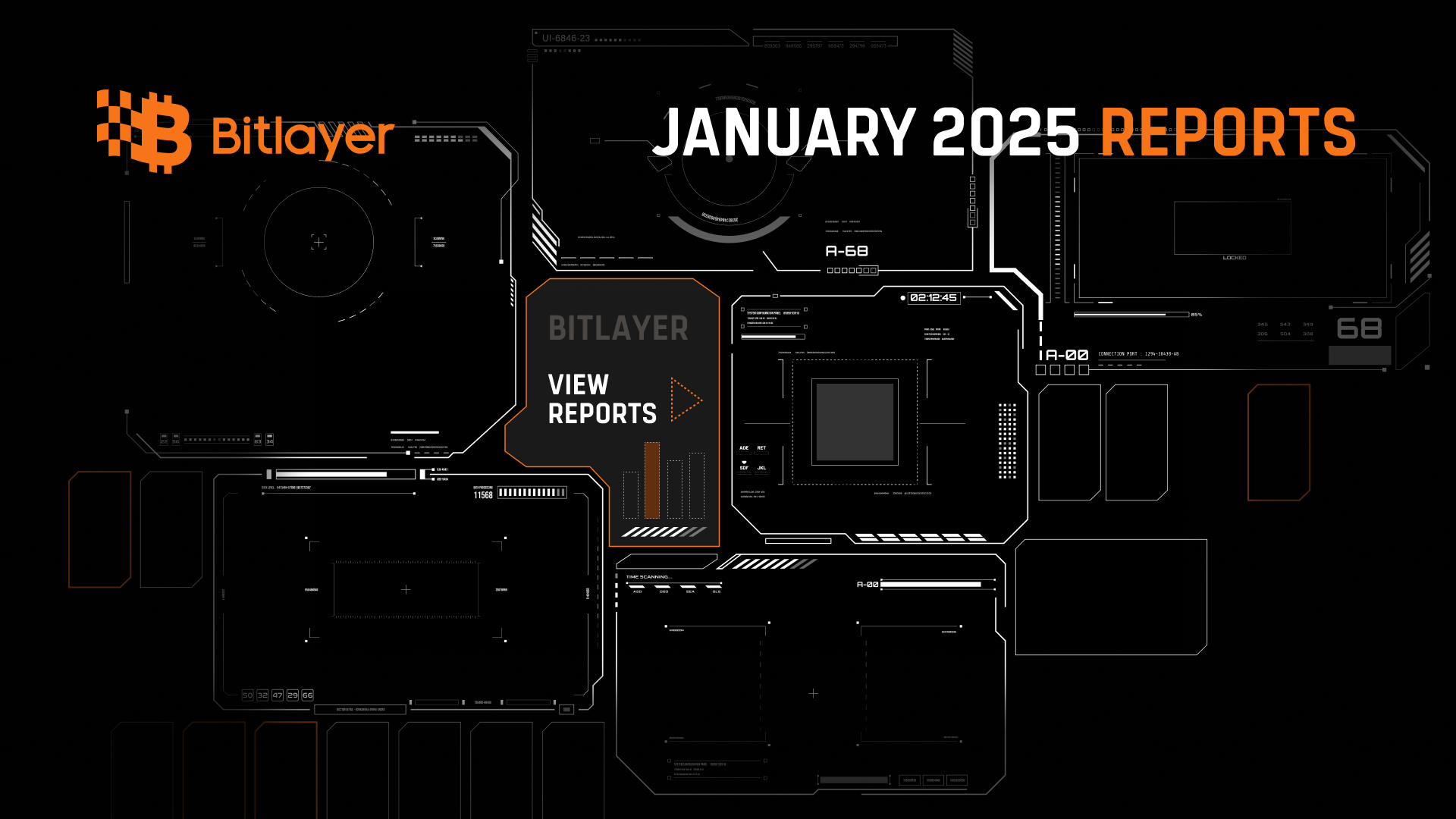 Bitlayer Monthly Report - January 2025