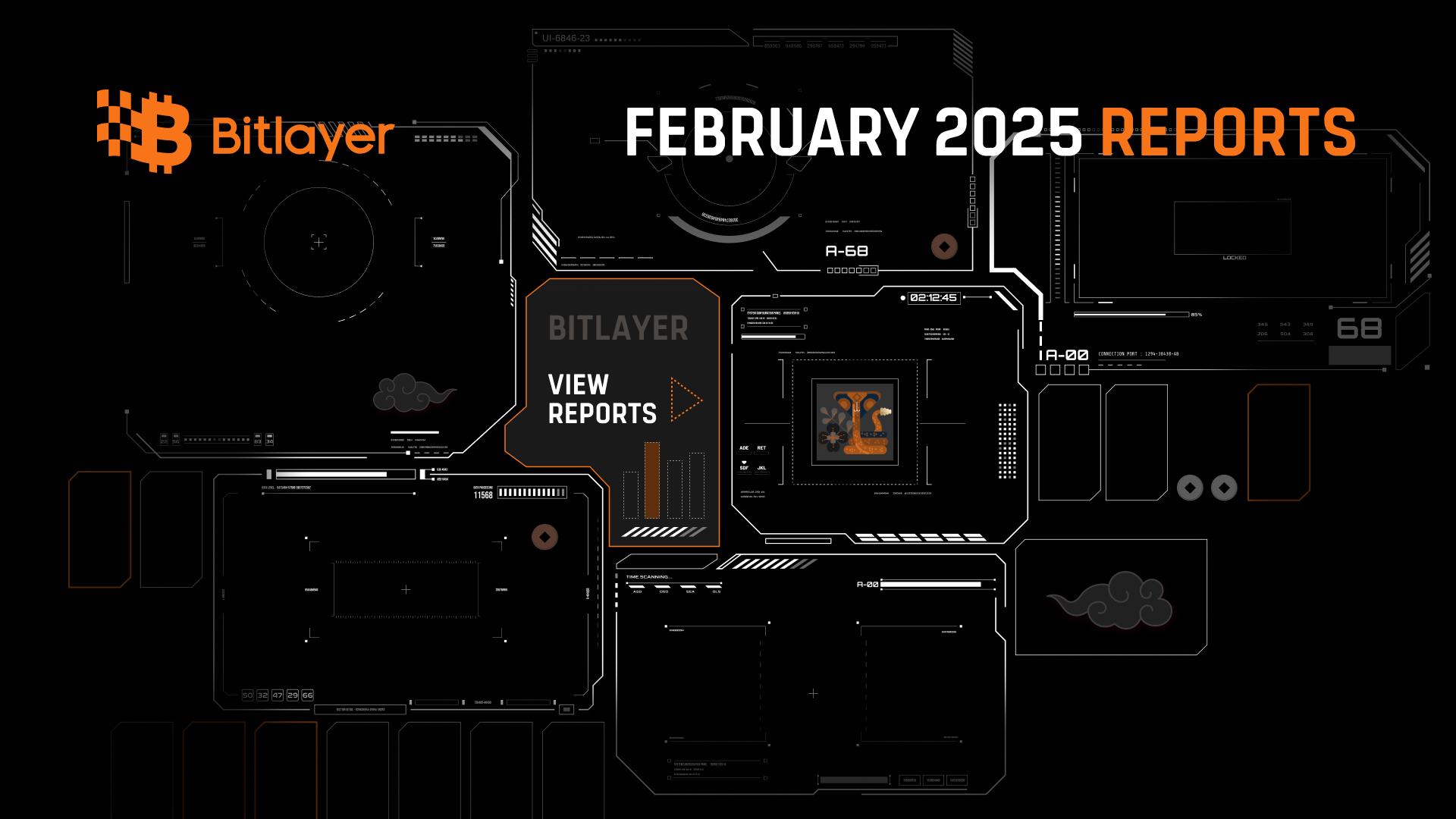 Bitlayer Monthly Report - February 2025