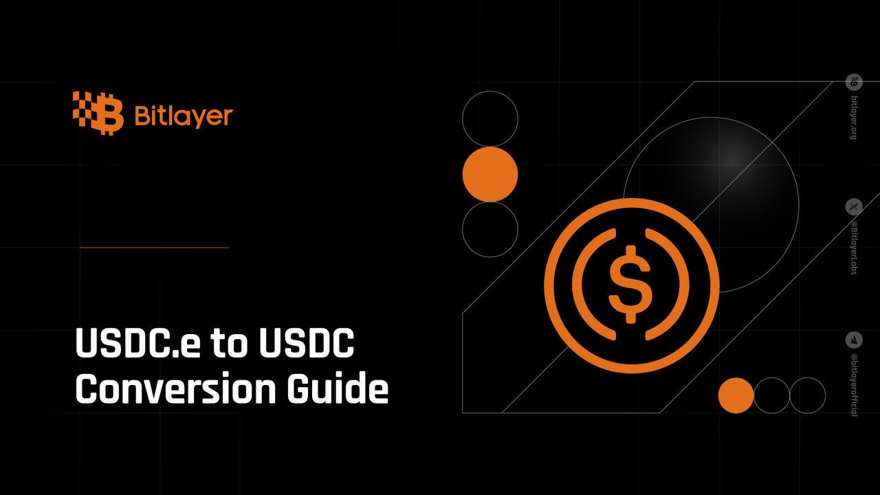USDC.e to USDC Conversion Guide